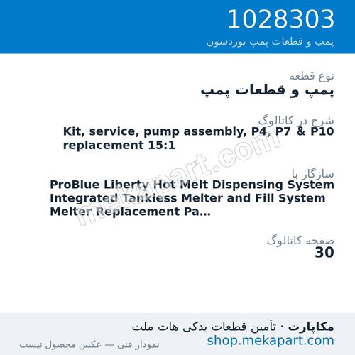 پمپ و قطعات پمپ نوردسون Kit, service, pump assembly, P4, P7 & P10 replacement 15:1، قطعه 1028303
