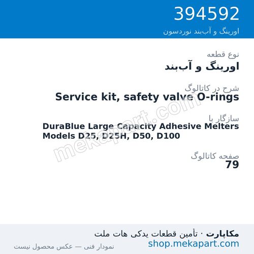 اورینگ و آببند نوردسون Service kit, safety valve O-rings، قطعه 394592