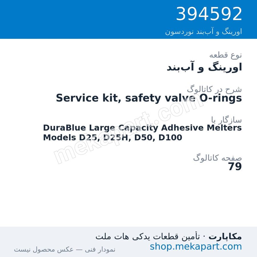 اورینگ و آببند نوردسون Service kit, safety valve O-rings، قطعه 394592